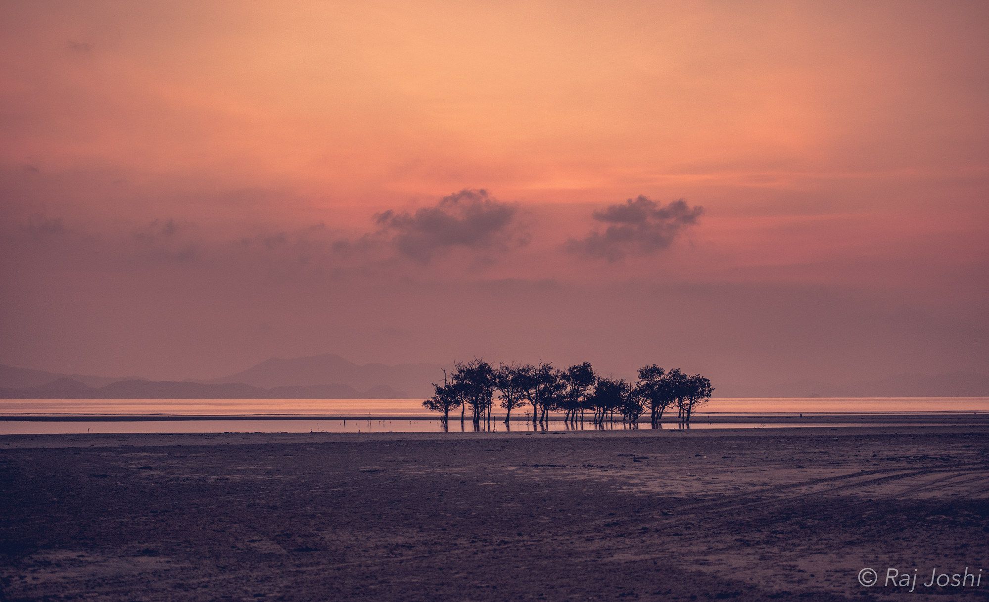 Palm islands silhouetted against a soft pink dusk over still water