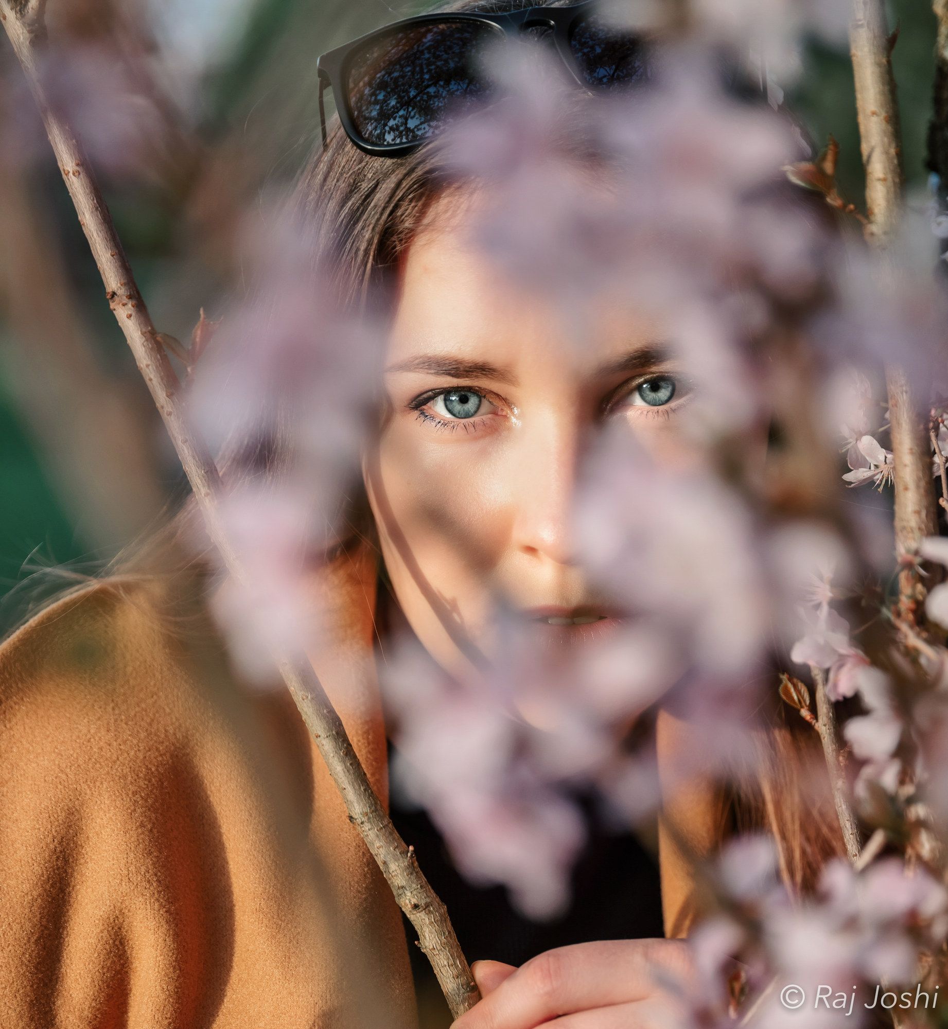 A portrait of a woman framed by soft pink spring blossom, eyes to camera